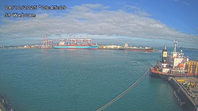 Vessel Movements at Tauranga Container Terminal